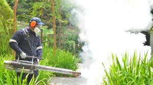 Best Pest Exclusion Services  in Gilmer, TX